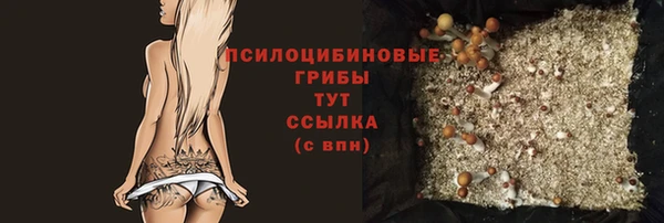 соль ск Каменка