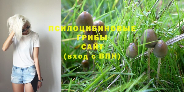 скорость Инсар