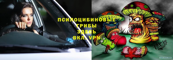 хмурый Каменногорск